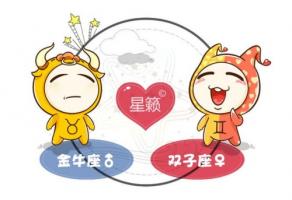 雙子座女和金牛座男配嗎