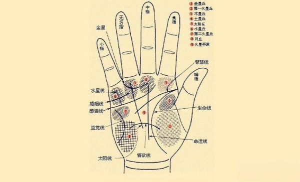 手相怎么看自己一生有幾段婚姻