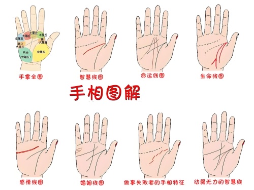 掌紋圖解女右手詳解