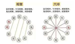 生肖相沖真的不能在一起嗎，怎么化解？