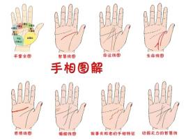 掌紋圖解女右手詳解