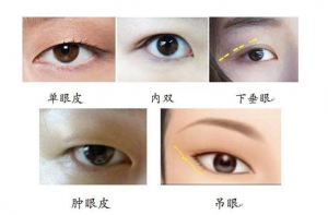 大眼睛的女人性格特點，女人眼睛形狀看相！
