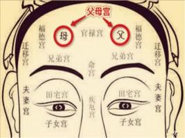 日月角突出的面相，日月角突出必為貴人