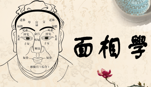 面相痣相大全圖片