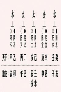 八字天干地支代表什么意思和含義