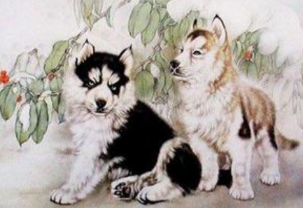 2024年屬狗1970年運勢