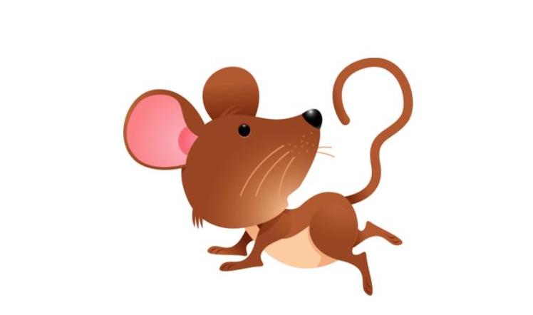 黑肖是指哪幾個(gè)生肖