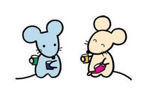 96年屬鼠女最佳婚配屬相