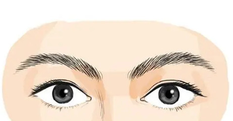 新月眉的男人有什么特點