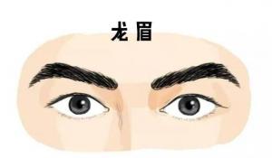 龍眉的男人命運，男人龍眉面相！