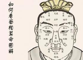 臉上有一紋,可看生死,你知道嗎?