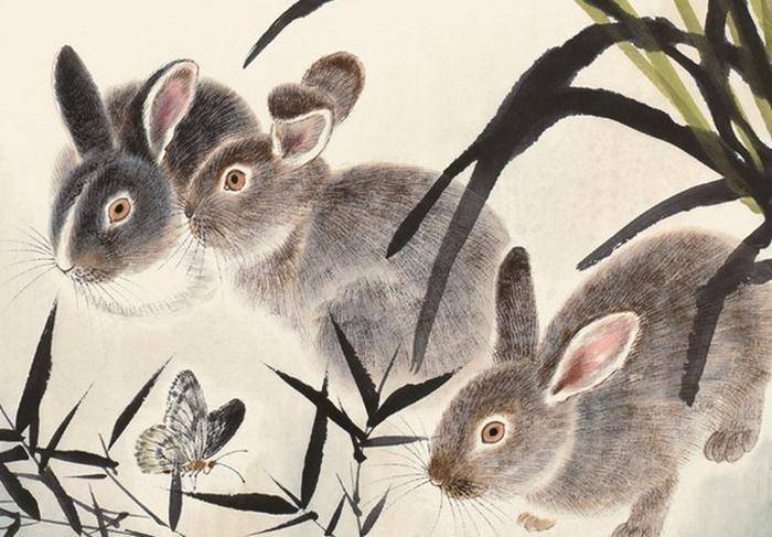 2024年兔的貴人是誰