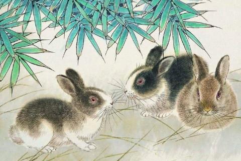 87年兔哪年才開始轉(zhuǎn)運