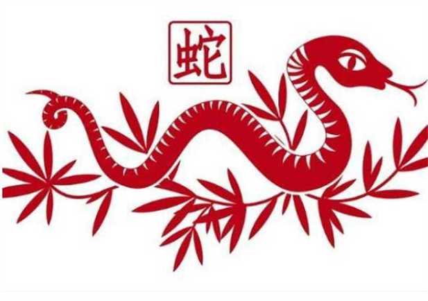 屬蛇的和什么屬相最配、相克