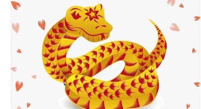 屬蛇和什么屬相最配