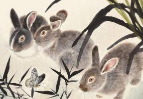 2024年兔的貴人是誰