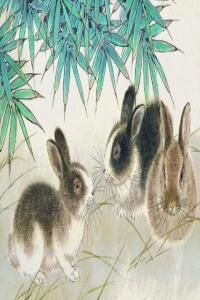 87年兔哪年才開始轉(zhuǎn)運