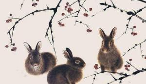 1987年兔女37歲后運勢