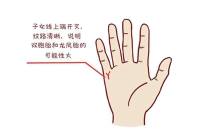 手相可以看出幾個(gè)孩子