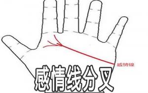 感情線末端分叉是什么意思