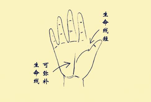 手相生命線短會早死嗎