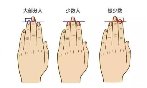 無名指比食指長的男人代表什么
