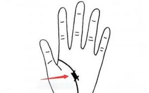 手相生命線斷開(kāi)代表什么