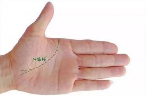 手相生命線有分叉什么意思