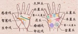 手相感情線圖解大全