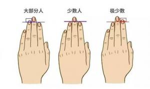 無(wú)名指比食指長(zhǎng)的男人代表什么