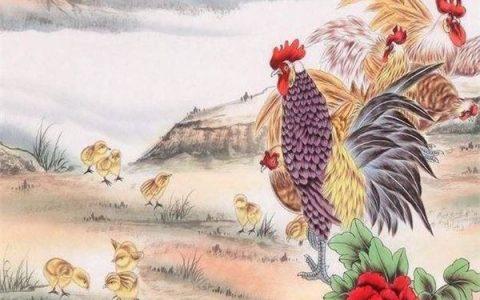 屬雞的三合和六個合生肖貴人