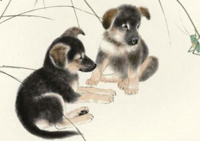 屬狗的三合和六個(gè)合生肖