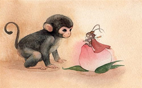 屬猴的三合和六個(gè)合生肖 屬猴的三合和六個(gè)合生肖