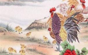 屬雞的三合和六個合生肖貴人