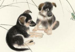 屬狗的三合和六個(gè)合生肖