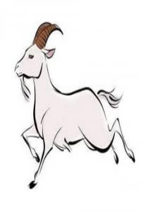 屬羊的三合和六個(gè)合生肖貴人