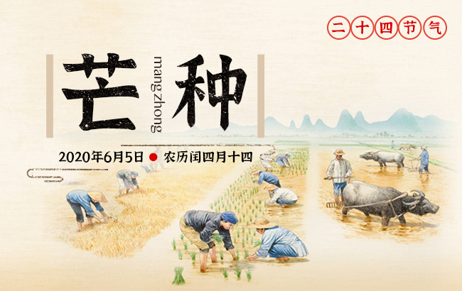 芒種的芒字是什么意思，芒種的寓意和象征