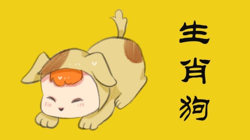 屬狗2024年運勢及運程詳解