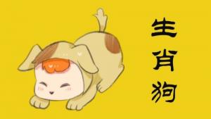 屬狗2024年運(yùn)勢(shì)及運(yùn)程詳解，屬狗人2024年每月運(yùn)勢(shì)完整版！