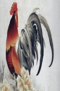 屬雞2024年的運勢及運程，屬雞人2024年每月運勢完整版！