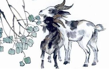 屬羊人2024年全年運(yùn)勢(shì)詳解，屬羊人2024年全年運(yùn)勢(shì)及每月運(yùn)程！