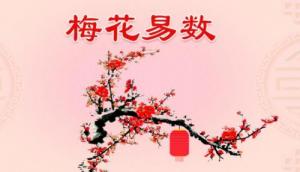 梅花易數(shù)是怎么回事？