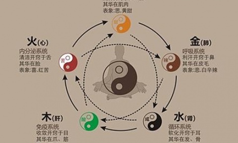 五行之間相生相克的關(guān)系-易經(jīng)怎么入門-易經(jīng)周易知識(shí)入門-
