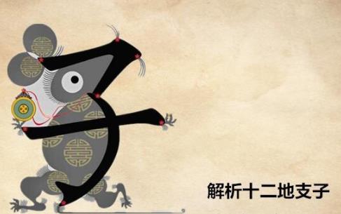 十二地支子是什么意思，五行屬什么？