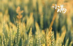 卜算子算命網(wǎng)