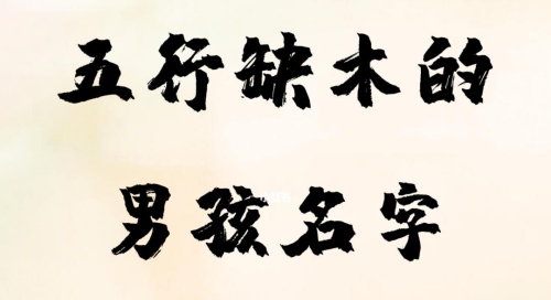 五行缺木的男孩取什么名字好
