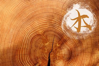 五行屬木女孩名字最佳的字