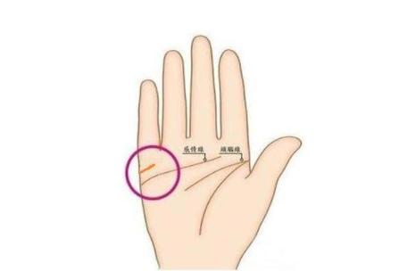 婚姻線一條代表什么