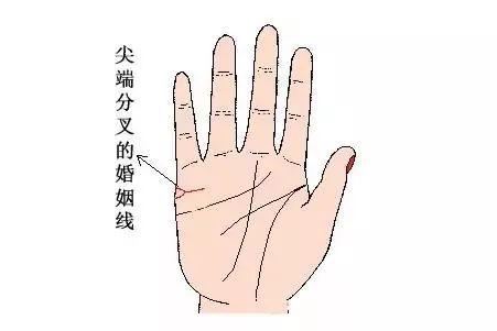 婚姻線分叉一定會離婚嗎?