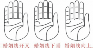 婚姻線分叉代表什么，婚姻線分叉是什么意思？